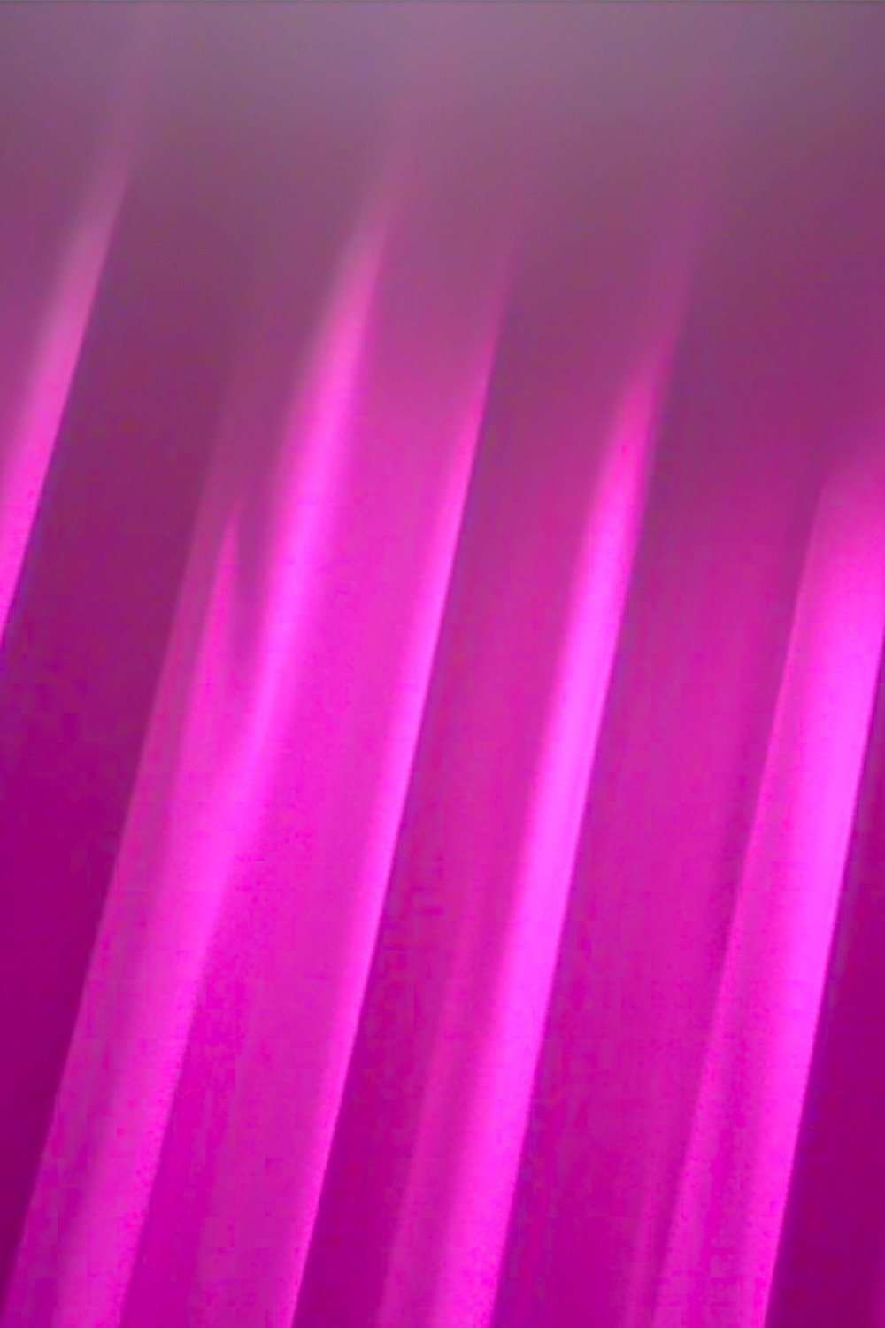 Blanco y fucsia (2021) poster
