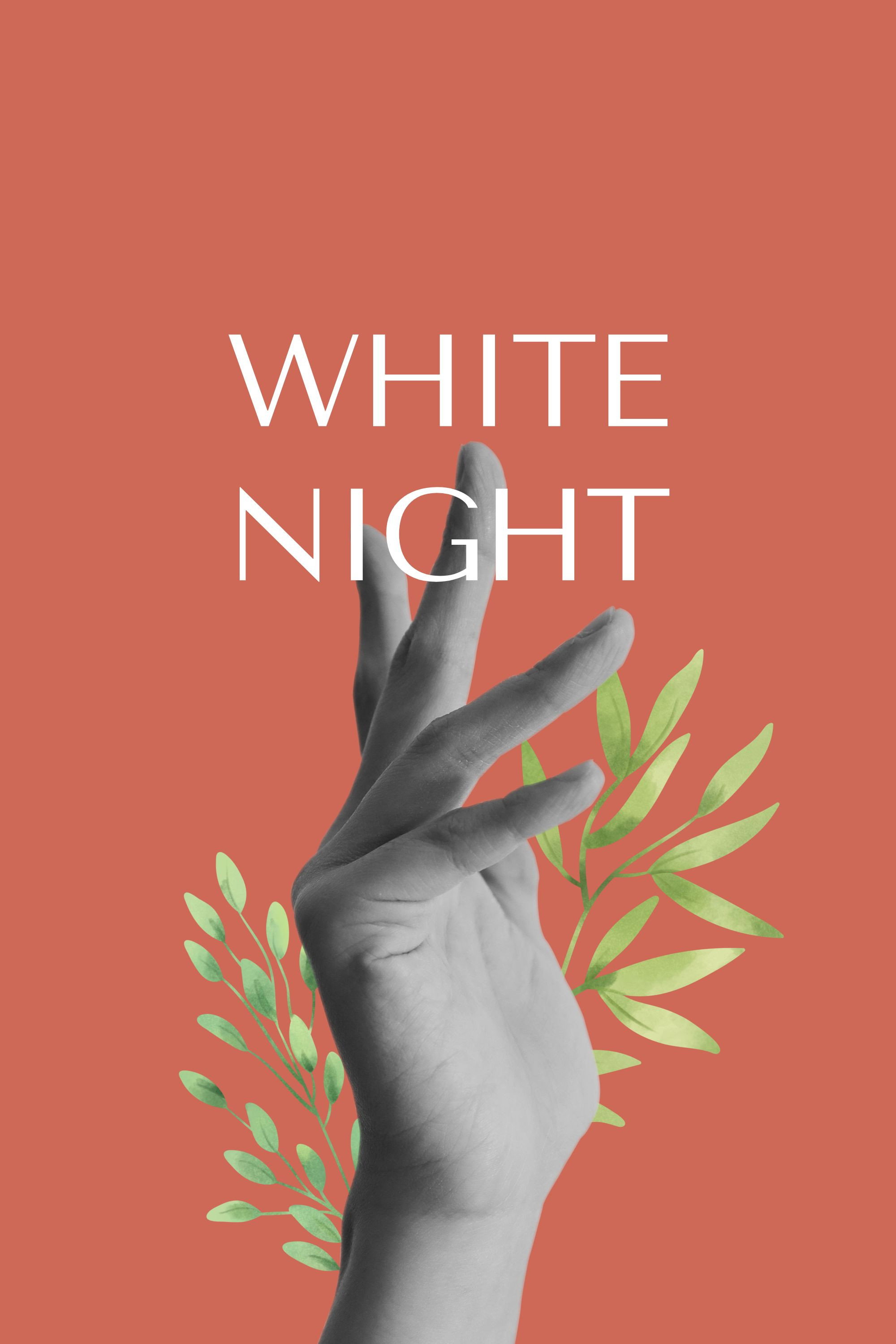 White Night (2026) poster