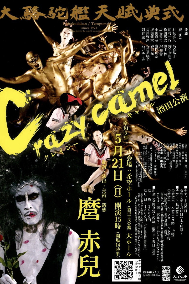 Crazy Camel (2012) poster