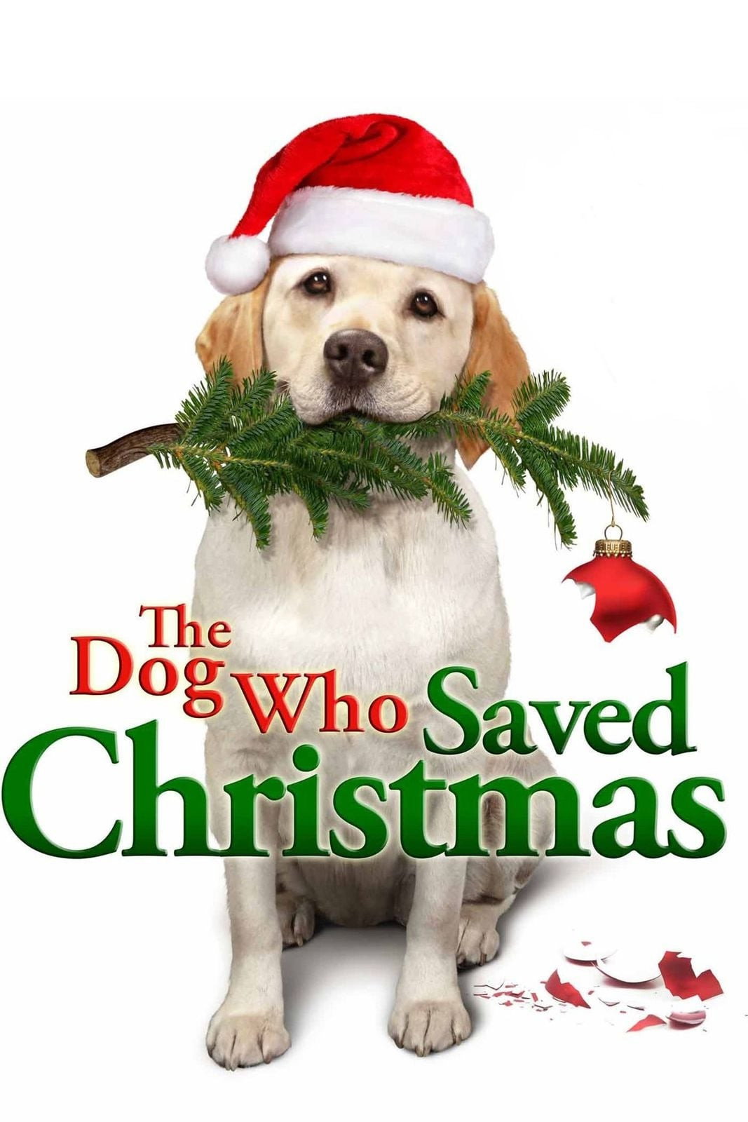 The Dog Who Saved Christmas (2009) poster