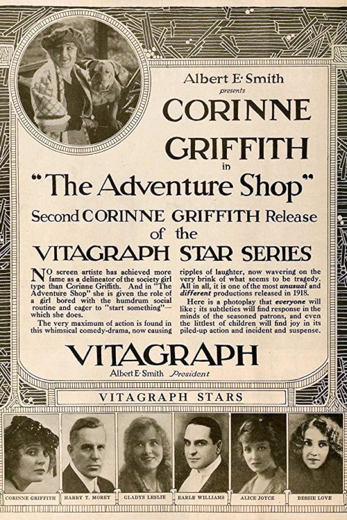 The Adventure Shop (1919) poster