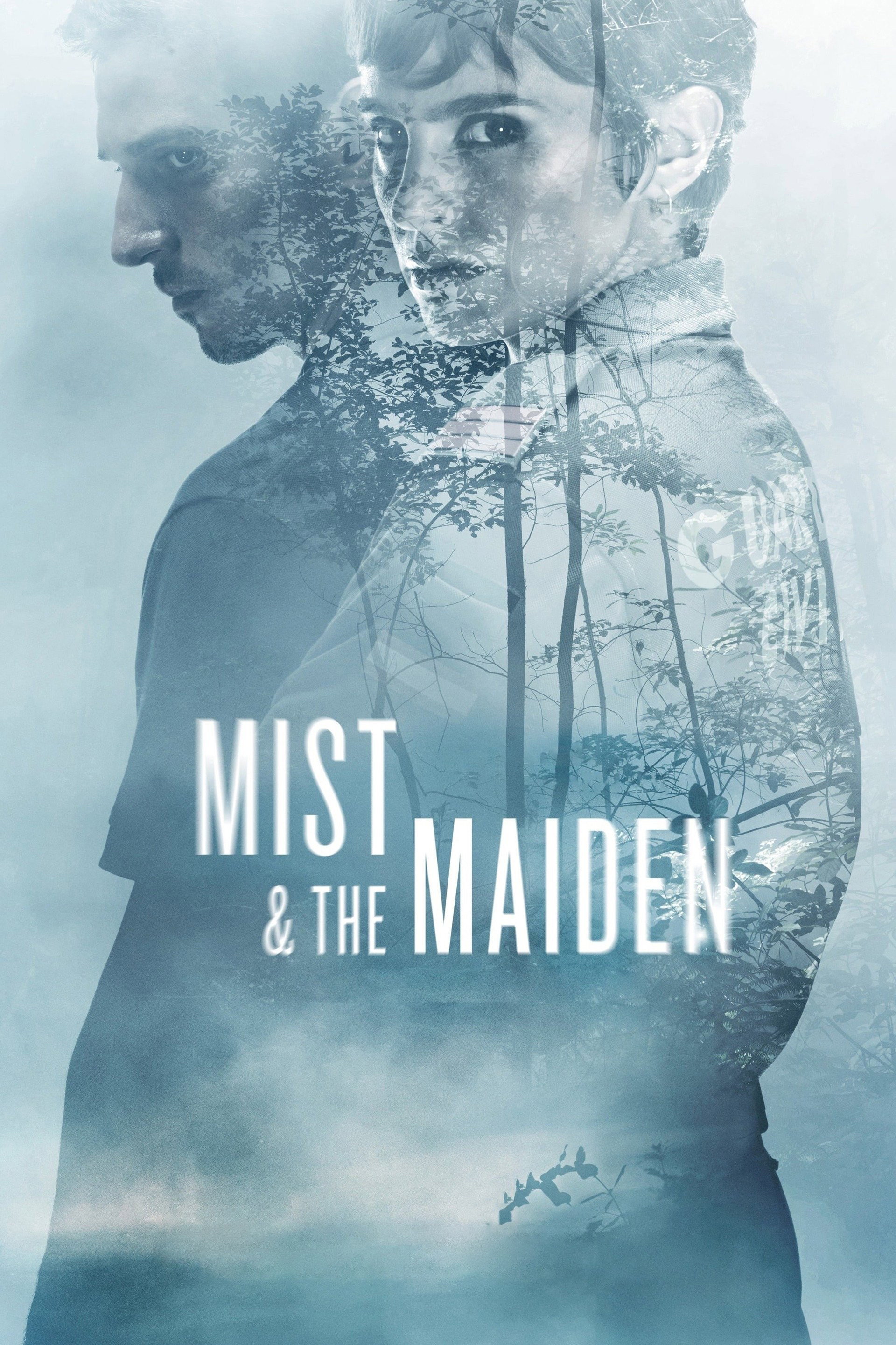 Mist & the Maiden (2017) poster
