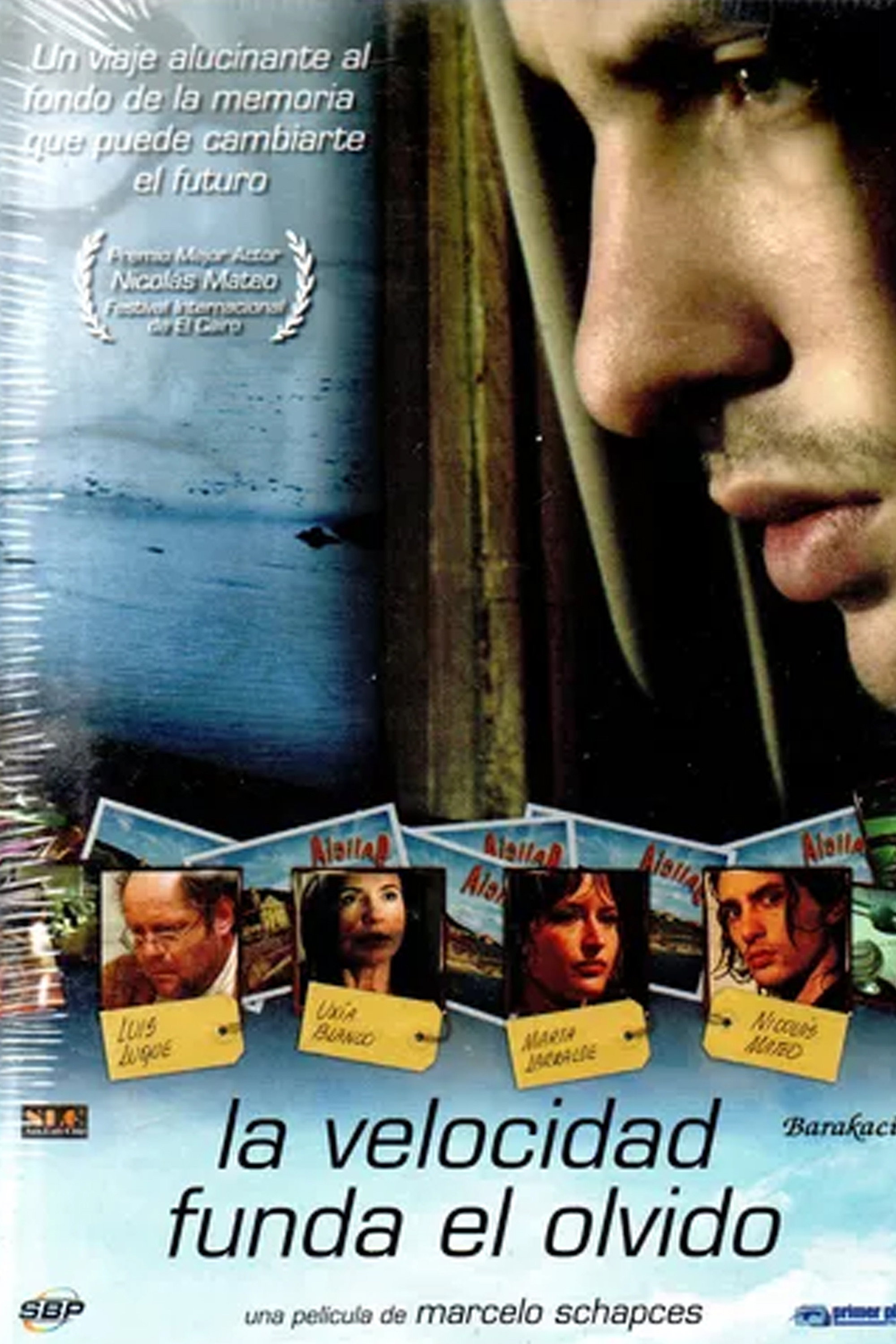 Velocity Begets Oblivion (2007) poster