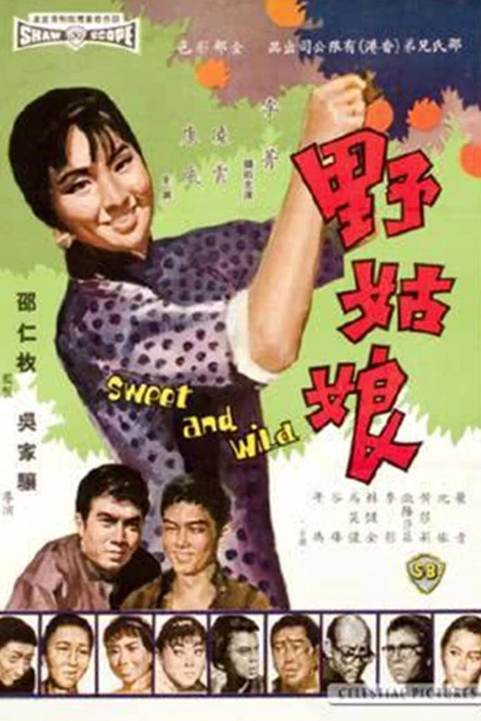 Sweet and Wild (1966) poster