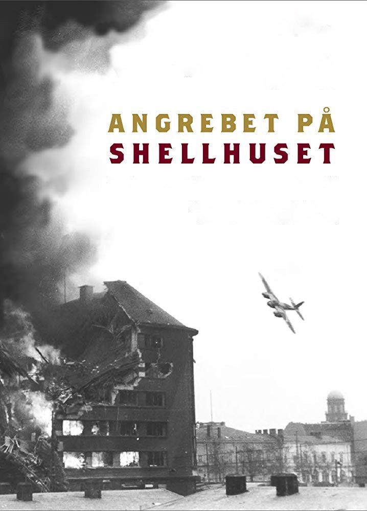 The Shellhouse Raid (2013) poster