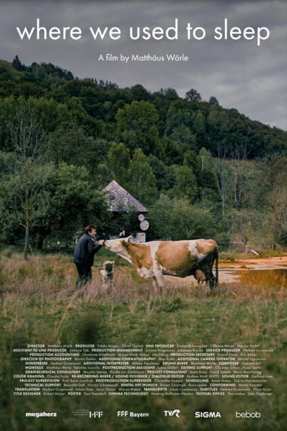 Where We Used to Sleep (2024) poster