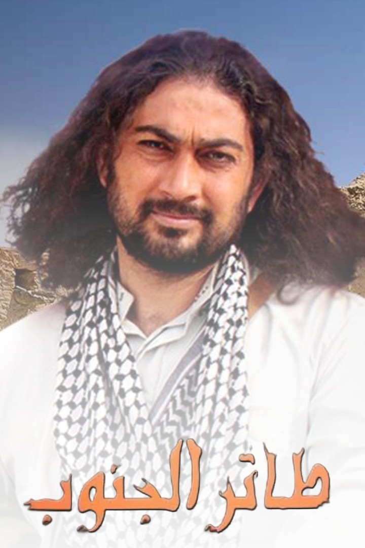 طائر الجنوب (2011) poster