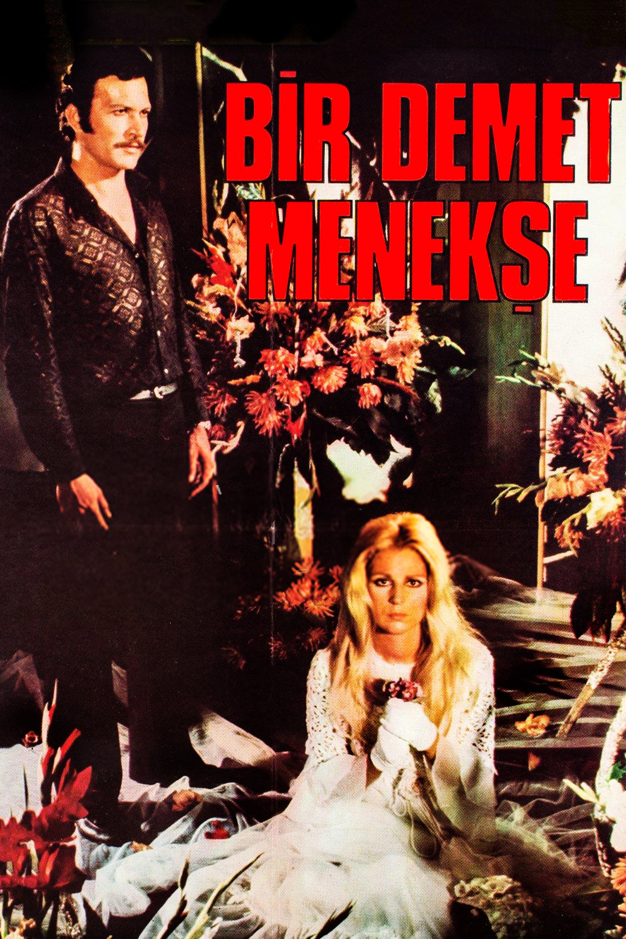 A Bunch of Violets (1973) poster