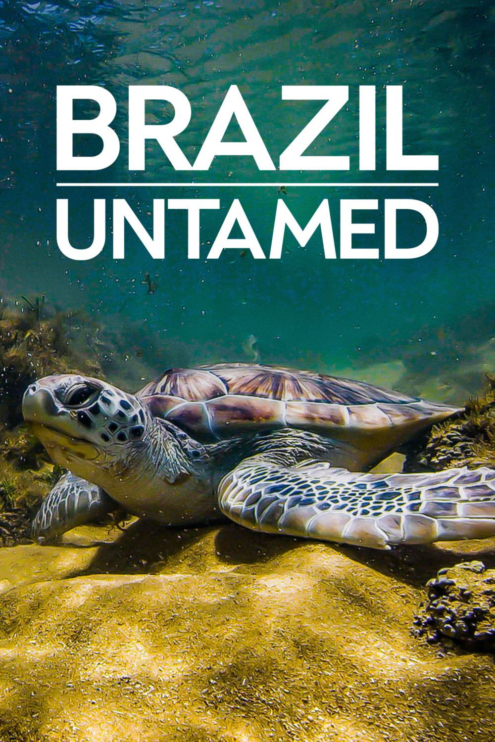 Brazil Untamed (2016) poster