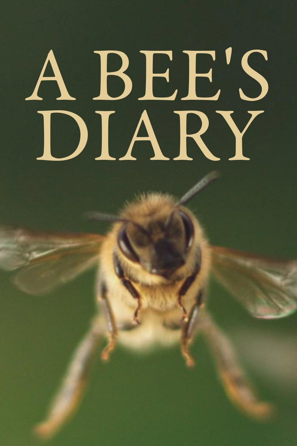 A Bee's Diary (2020) poster
