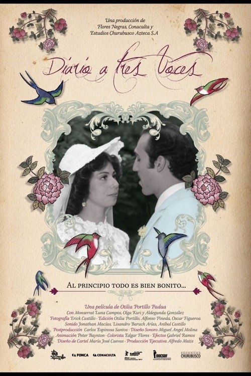 Three Voices (2012) poster