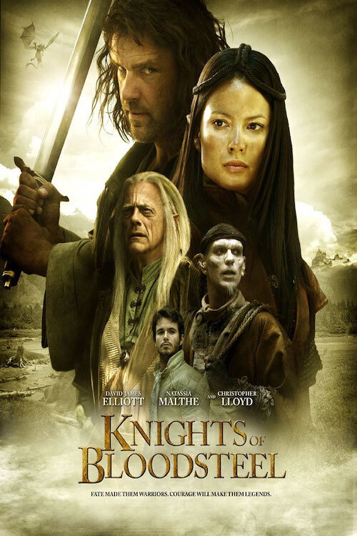 Knights of Bloodsteel (2009) poster