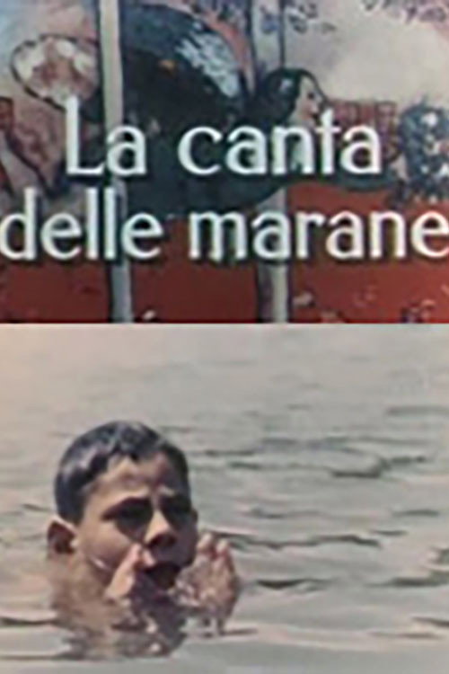 The Marshes' Chant (1962) poster