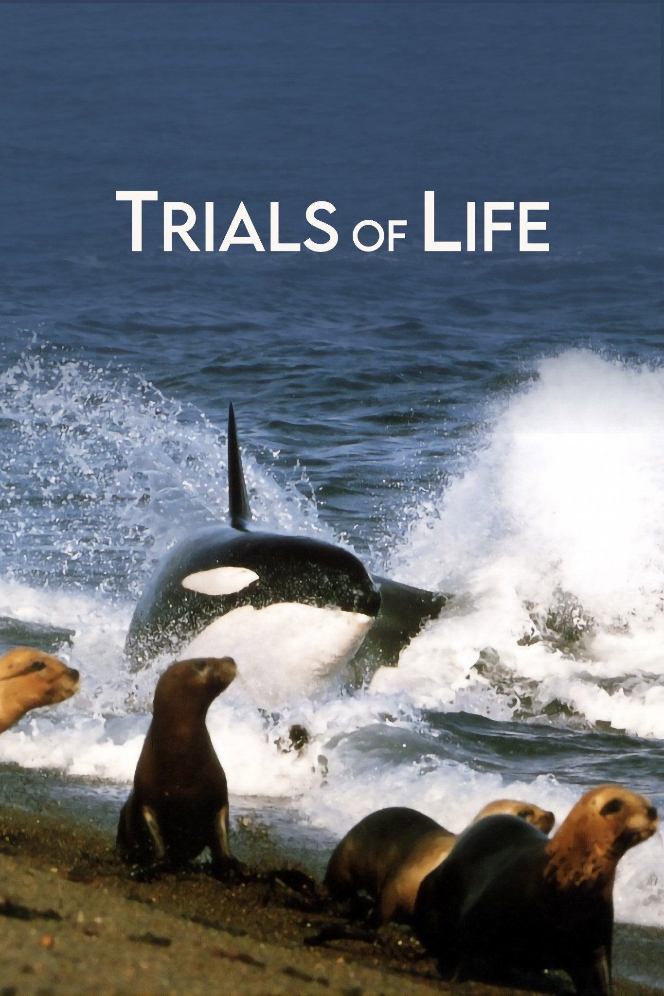 Trials of Life (1990) poster