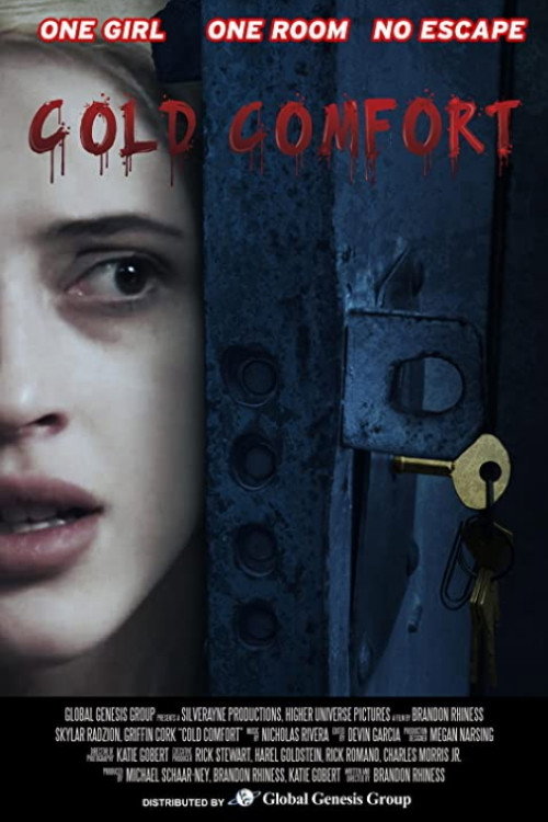 The Project (2021) poster