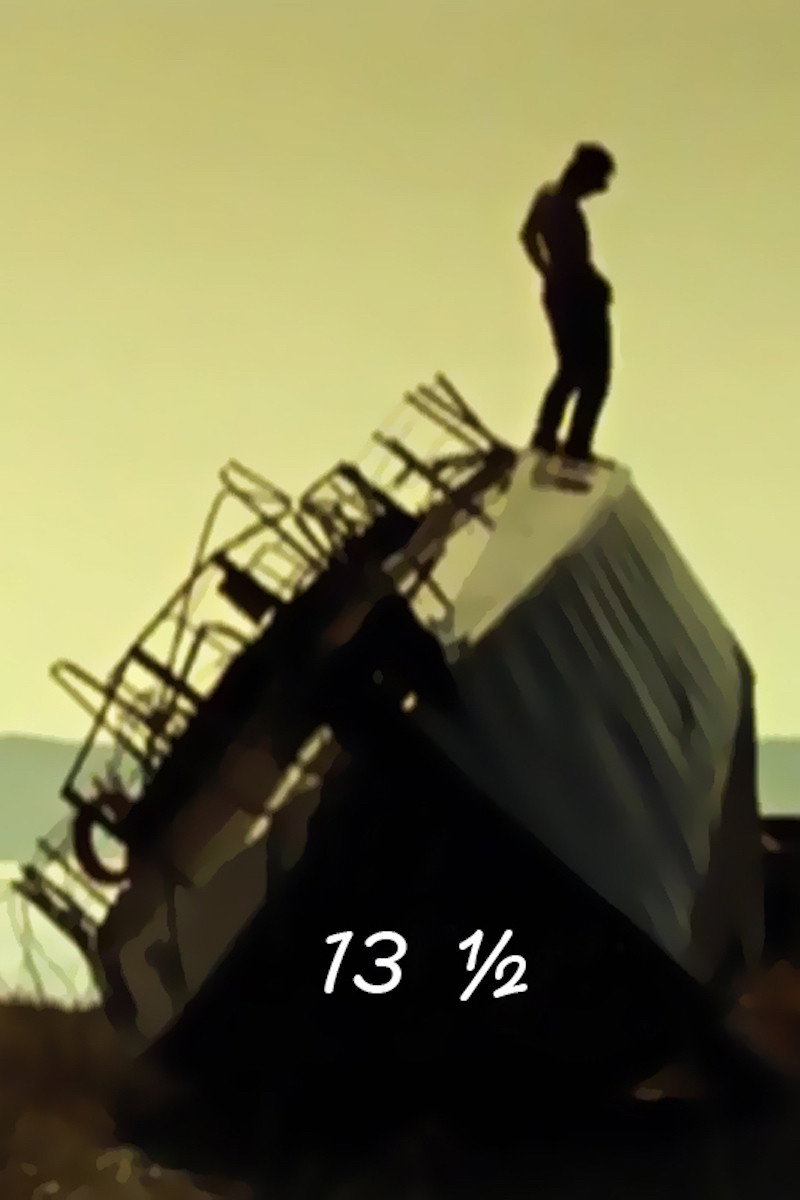 13½ (2010) poster