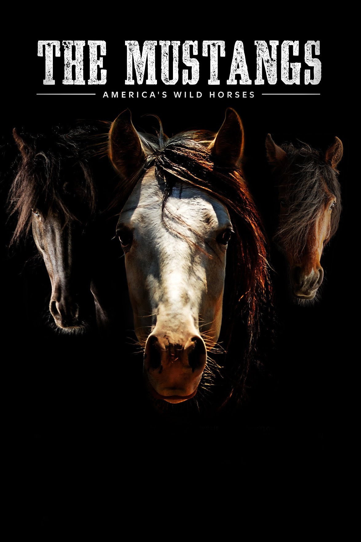 The Mustangs: America's Wild Horses (2021) poster
