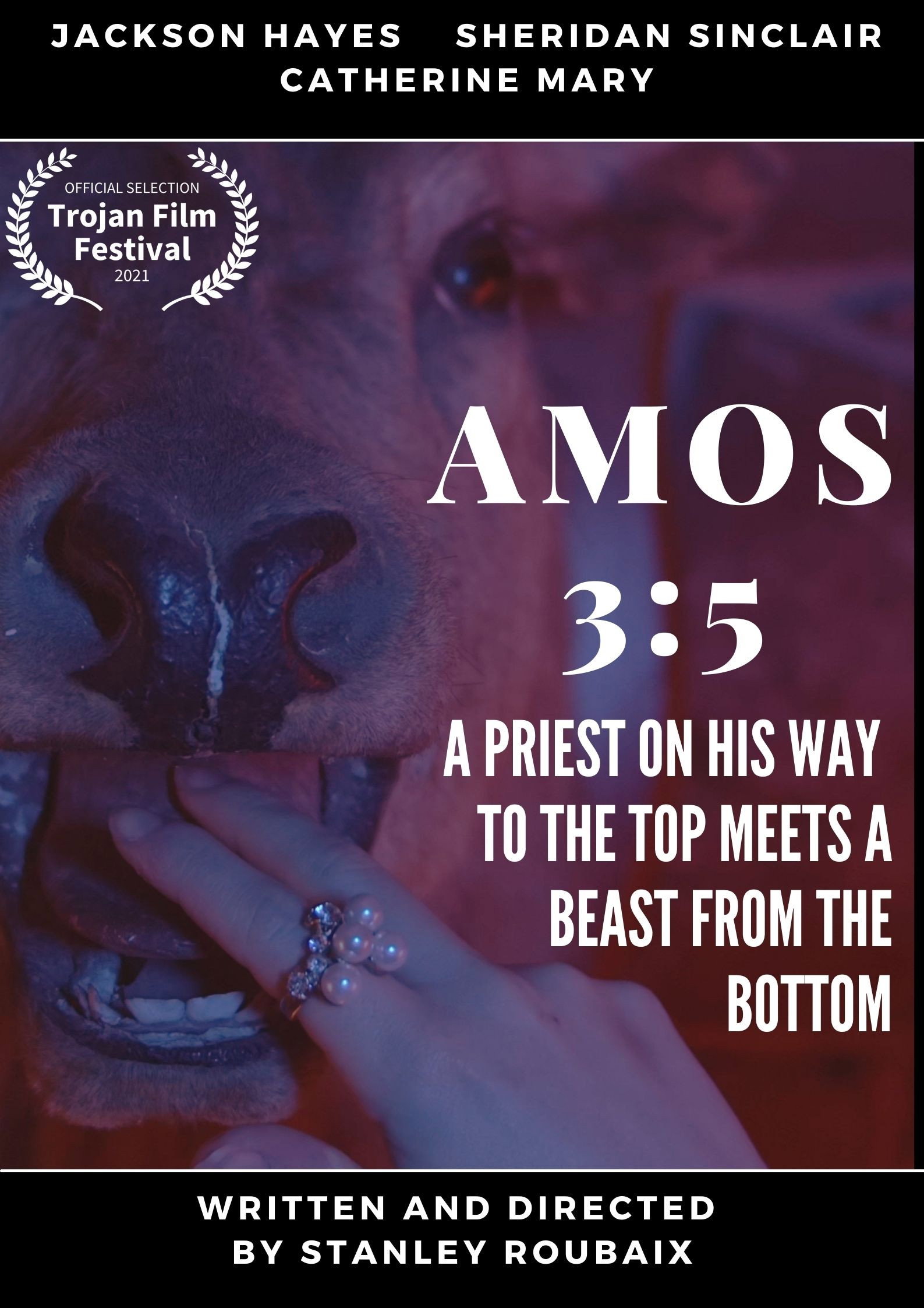AMOS 3:5 (2021) poster