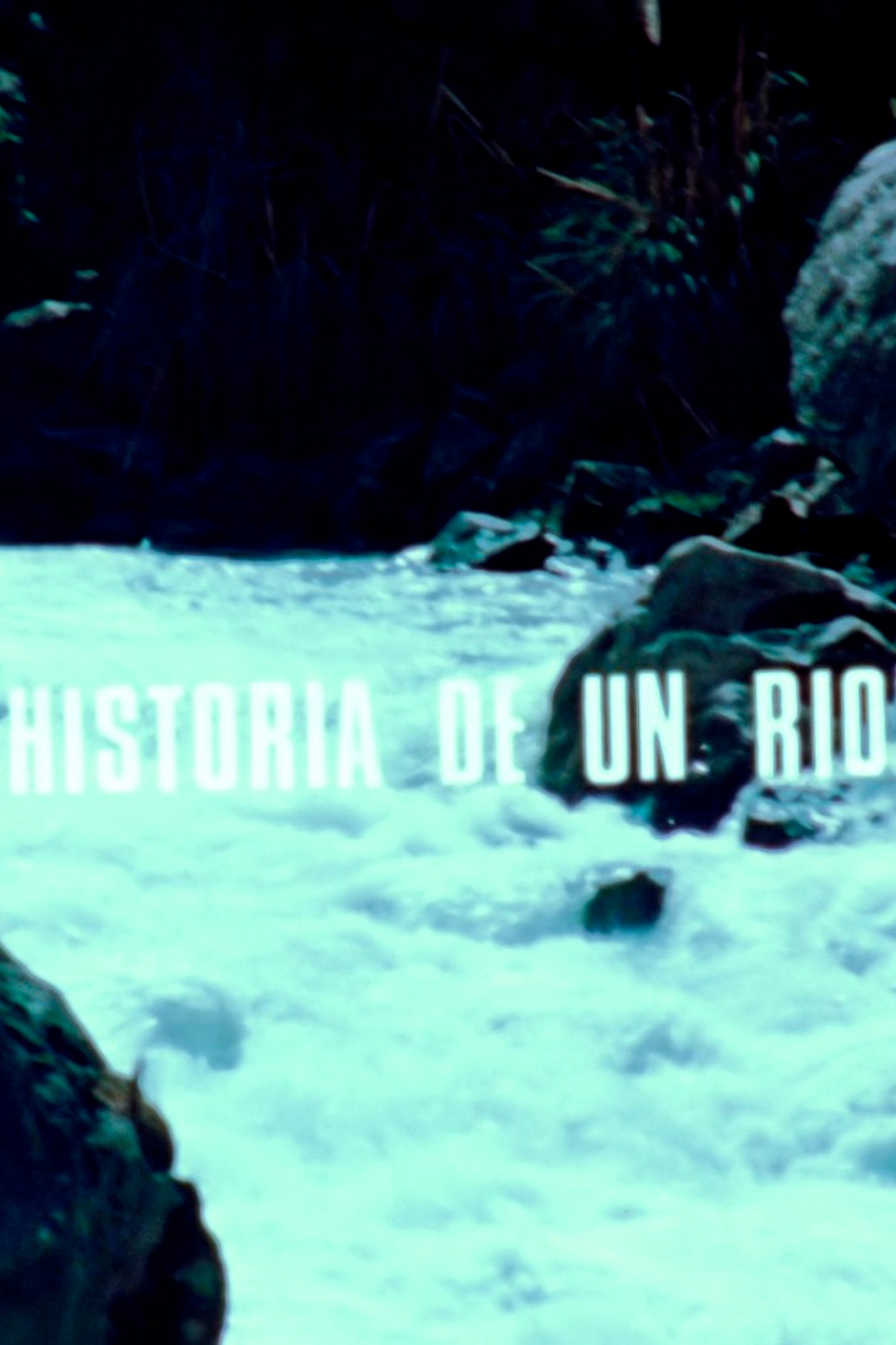 History of a River (1980) poster