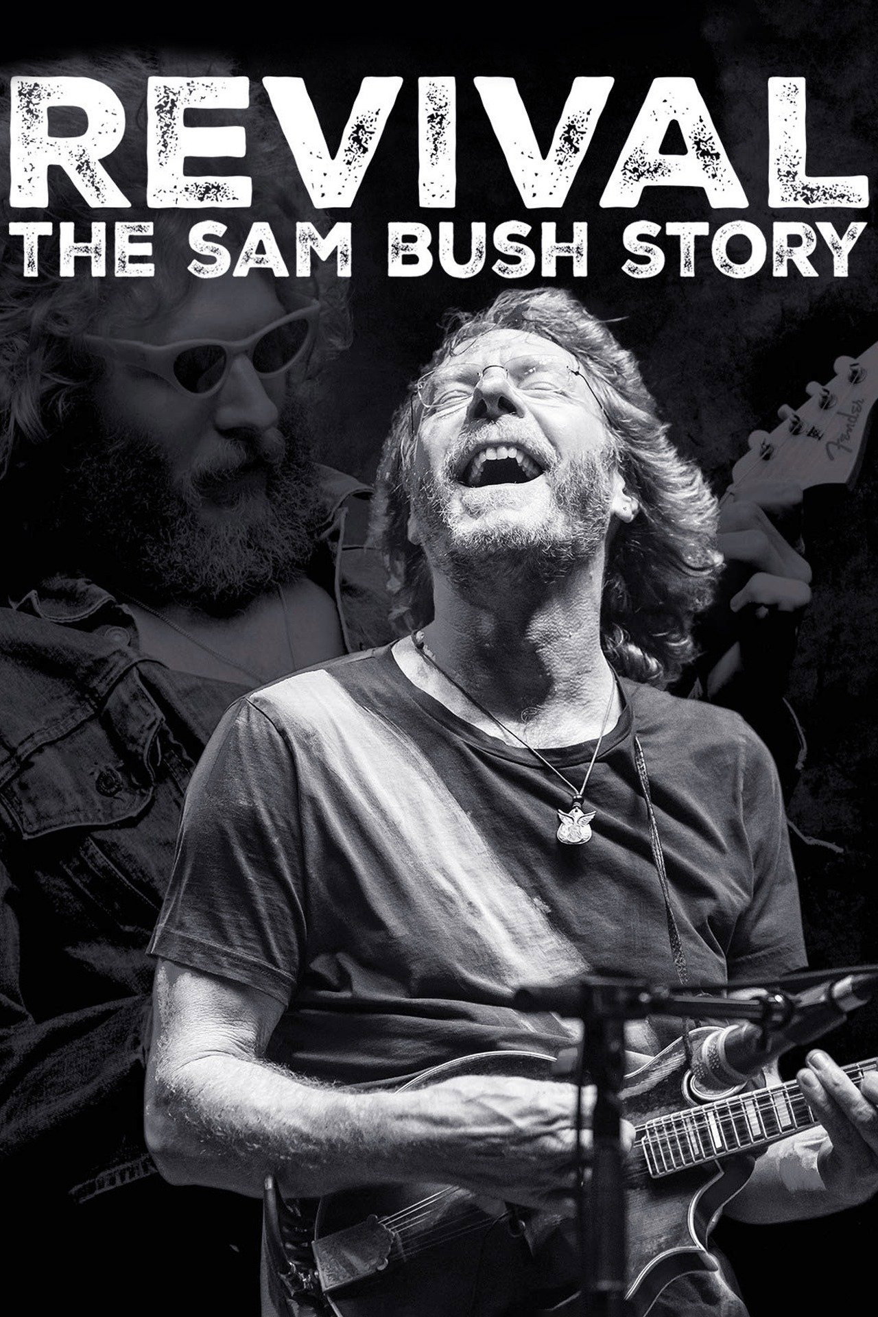 Revival: The Sam Bush Story (2015) poster