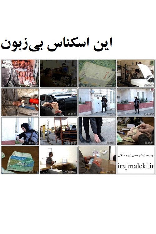 Voiceless Banknote (2009) poster