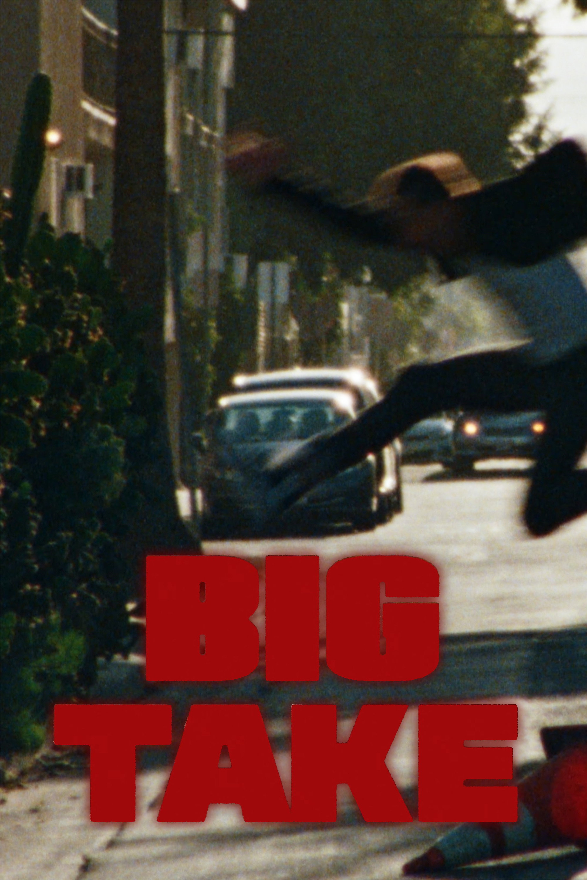 Big Take (2024) poster