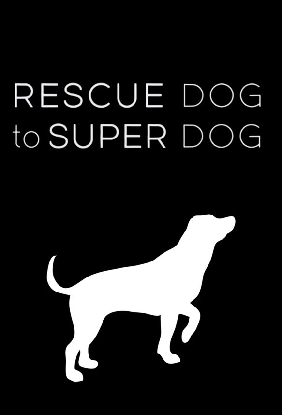 Rescue Dog to Super Dog (2016) poster
