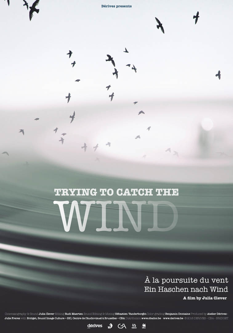 Trying to Catch the Wind (2018) poster