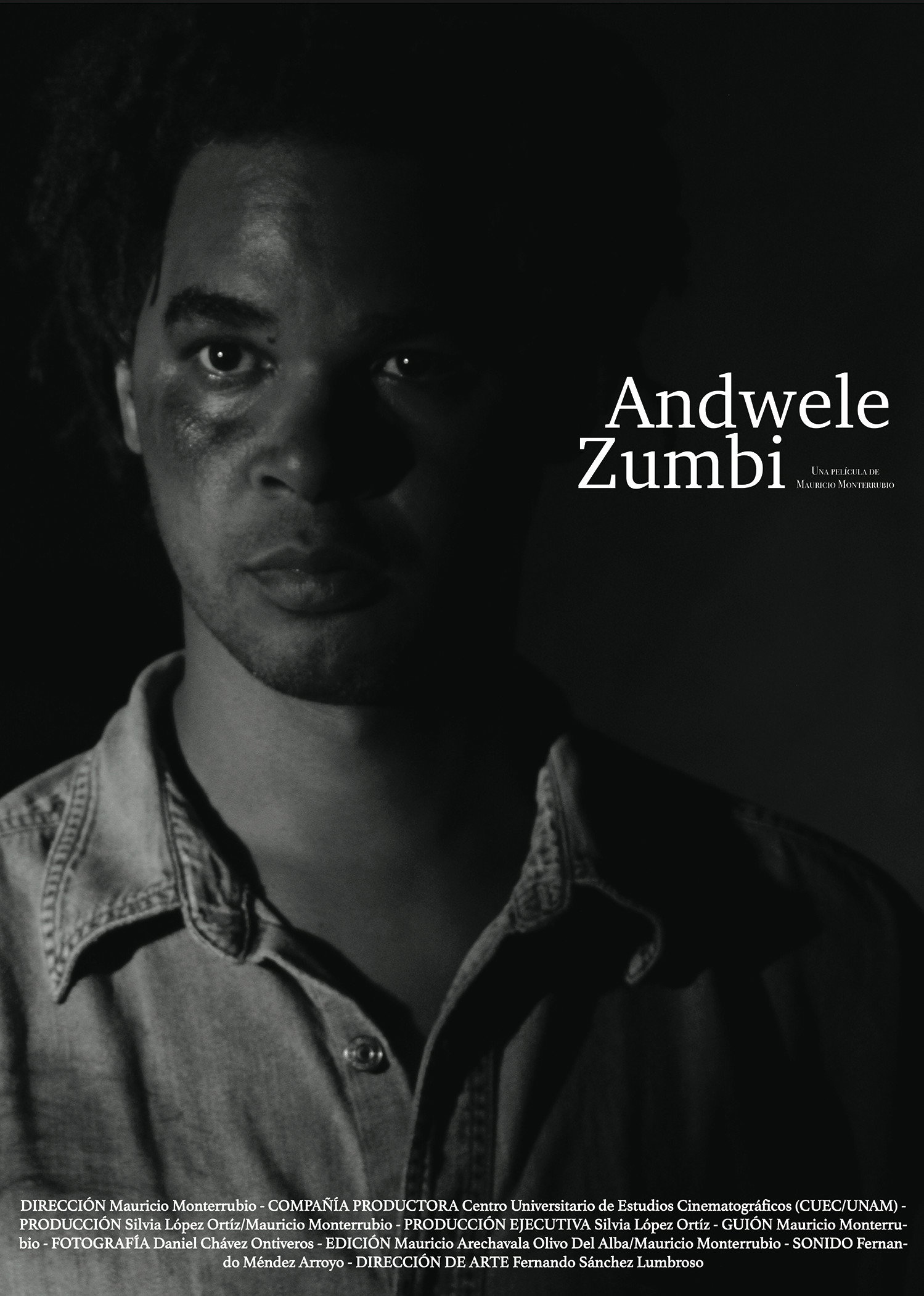 Andwele/Zumbi (2012) poster