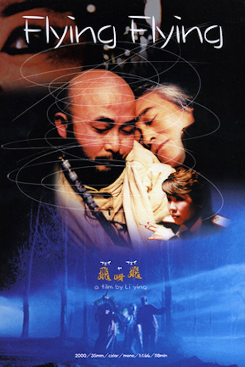 Flying Flying (2001) poster