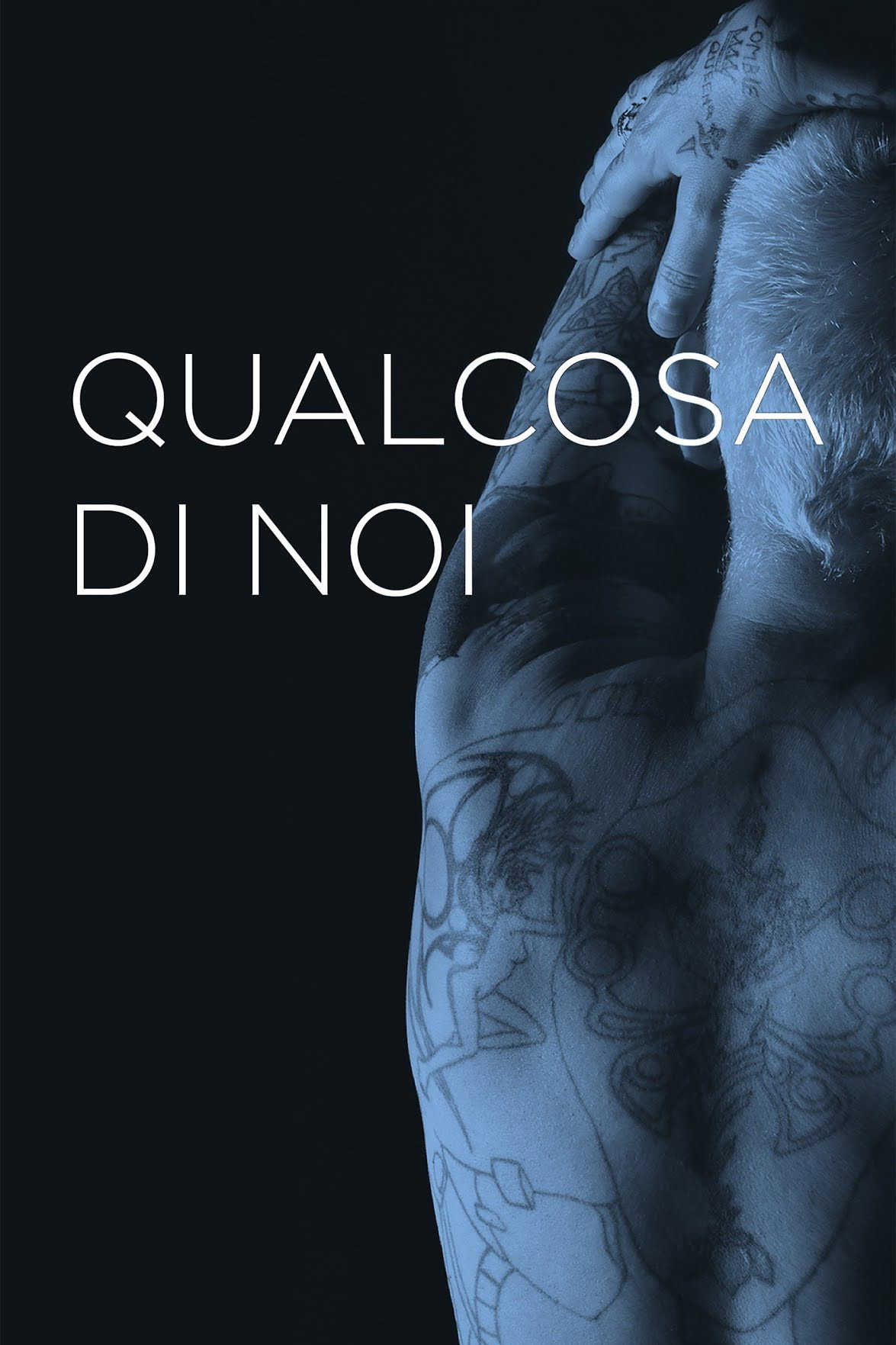 Qualcosa di noi (2014) poster