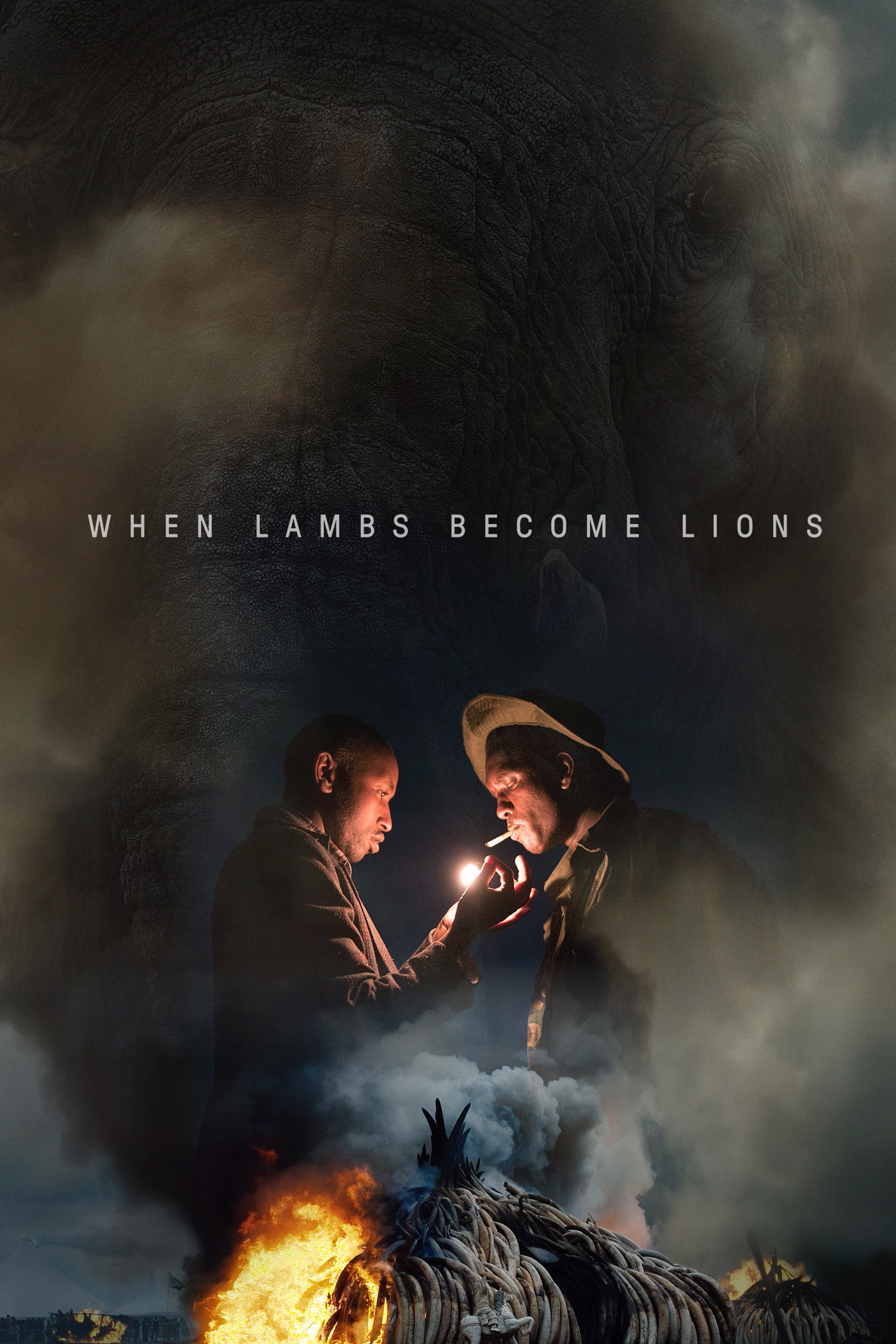 When Lambs Become Lions (2018) poster