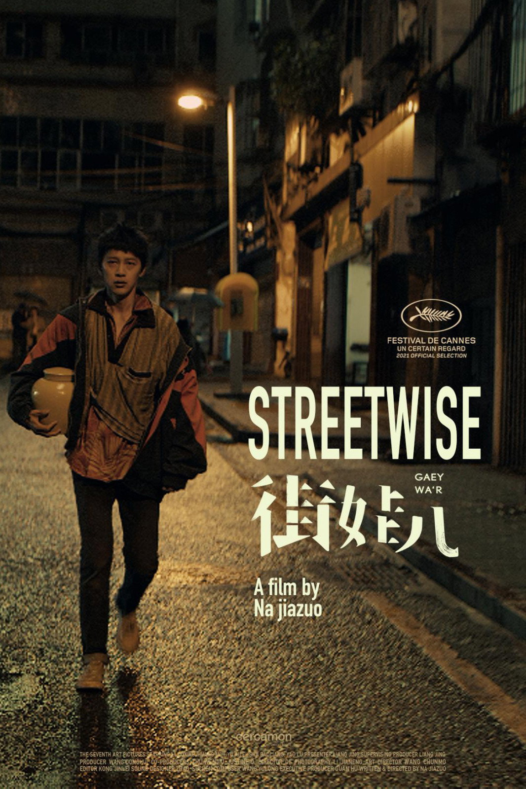 Streetwise (2021) poster