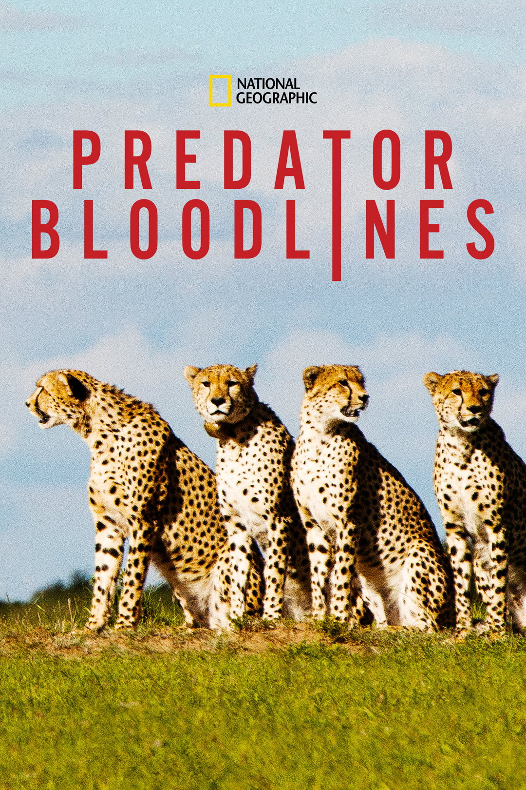 Predator Bloodlines (2020) poster
