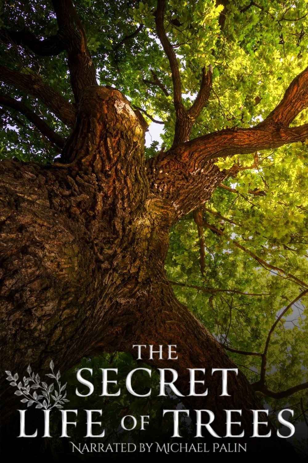 The Secret Life of Trees (2025) poster