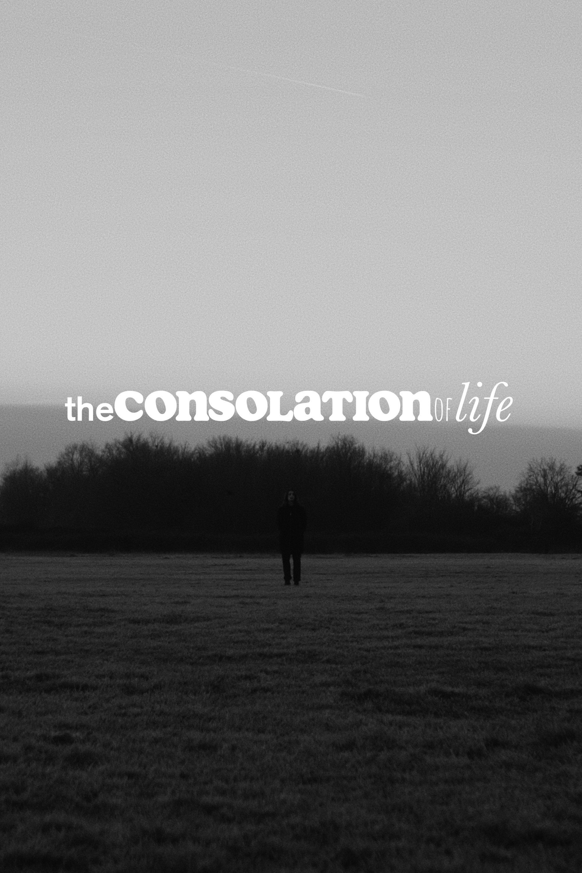 the consolation of life (2022) poster