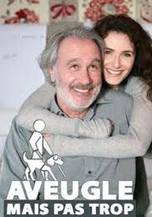 Aveugle mais pas trop (2009) poster