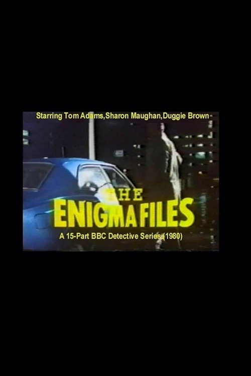 The Enigma Files (1980) poster