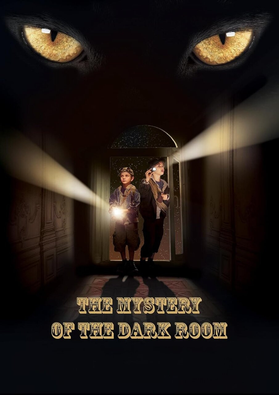 A Dark Room Mystery (2014) poster