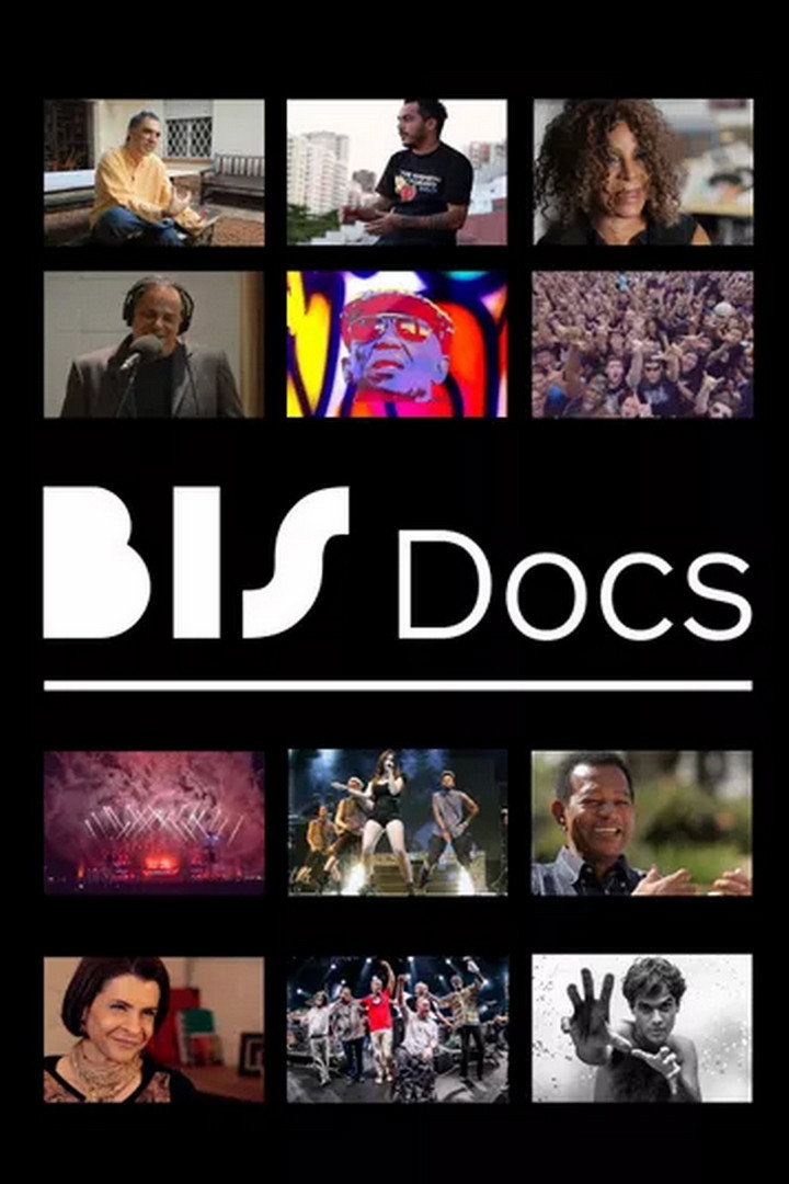 BIS Docs (2013) poster