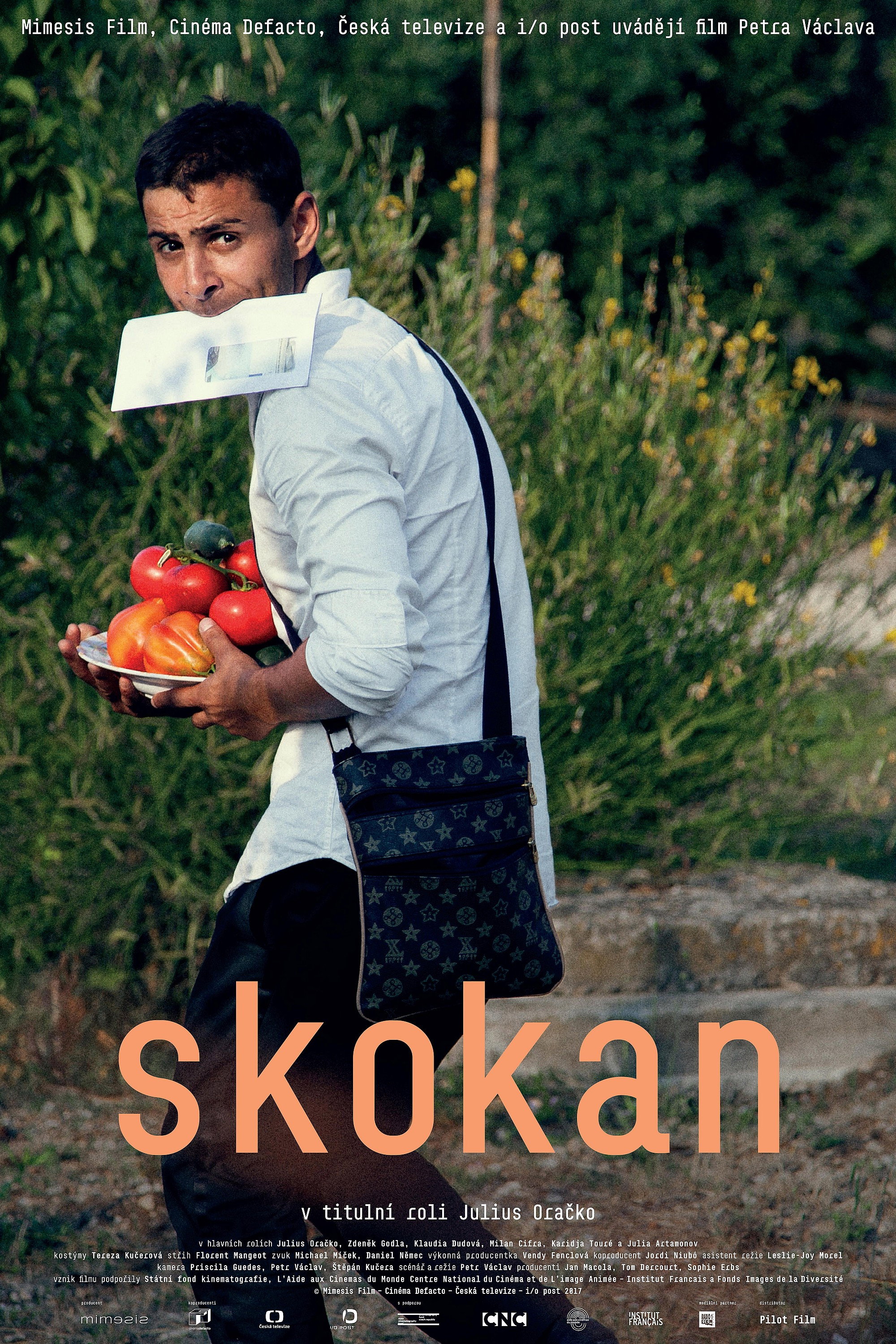 Skokan (2017) poster