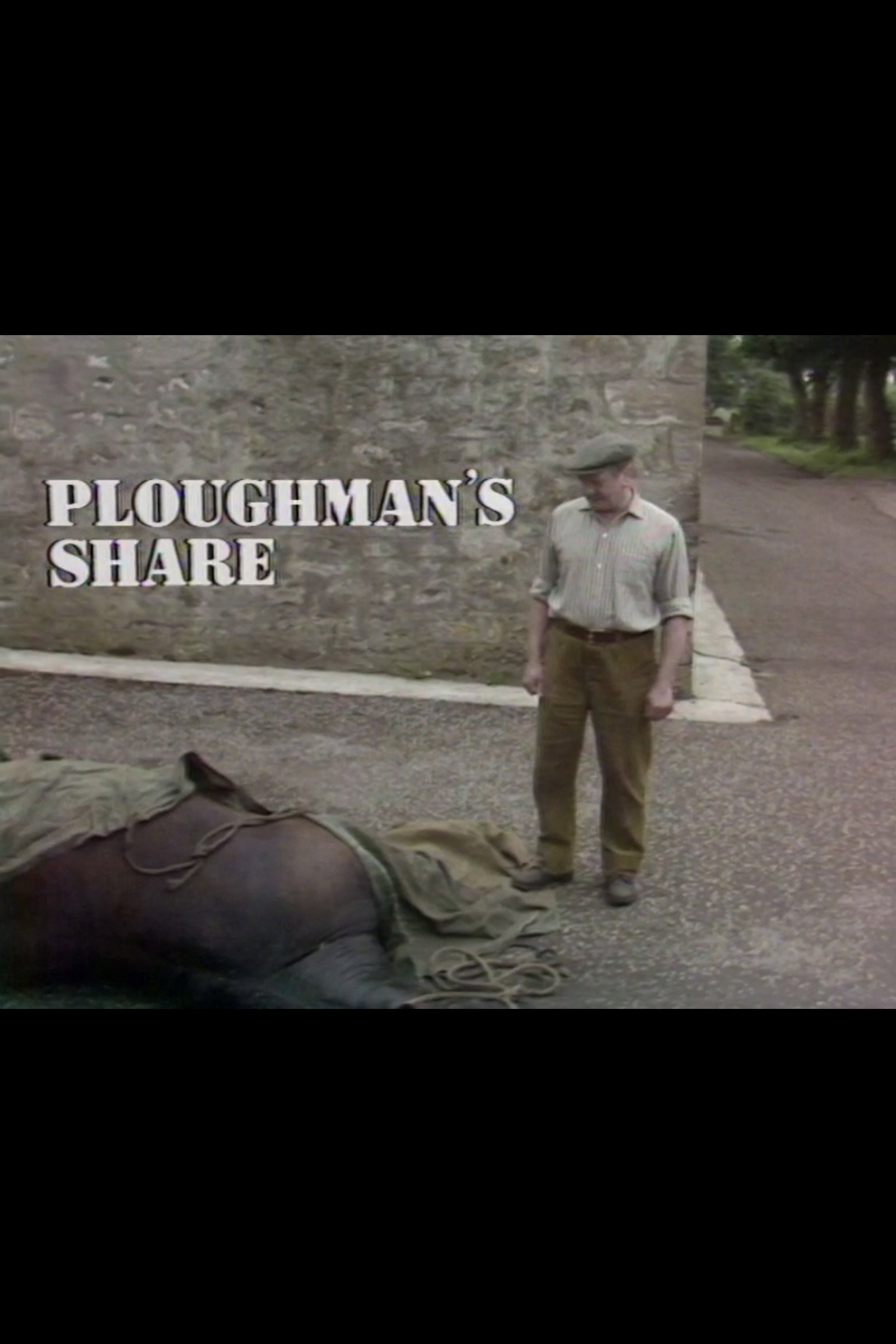 Ploughman's Share (1979) poster