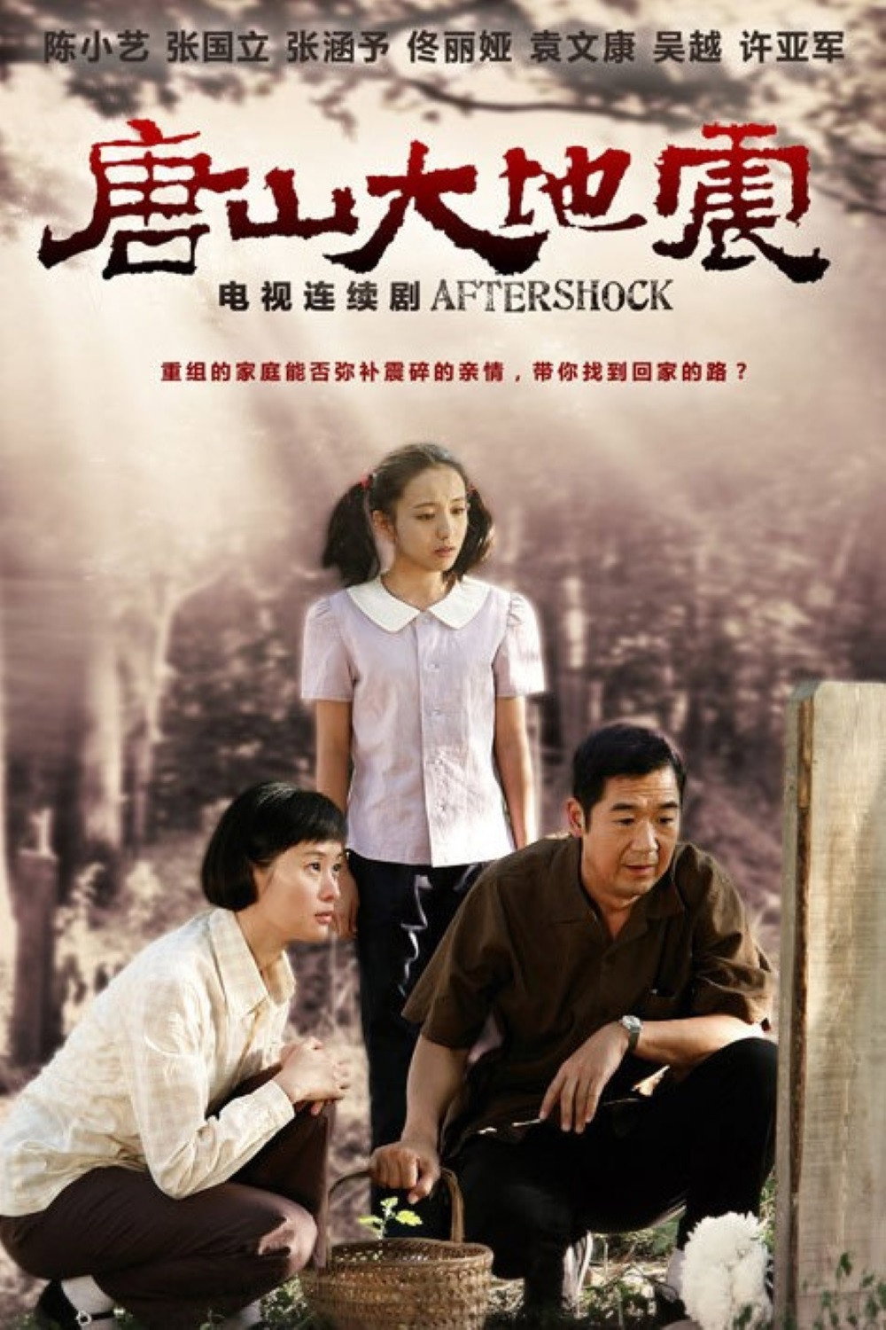 Aftershock (2013) poster