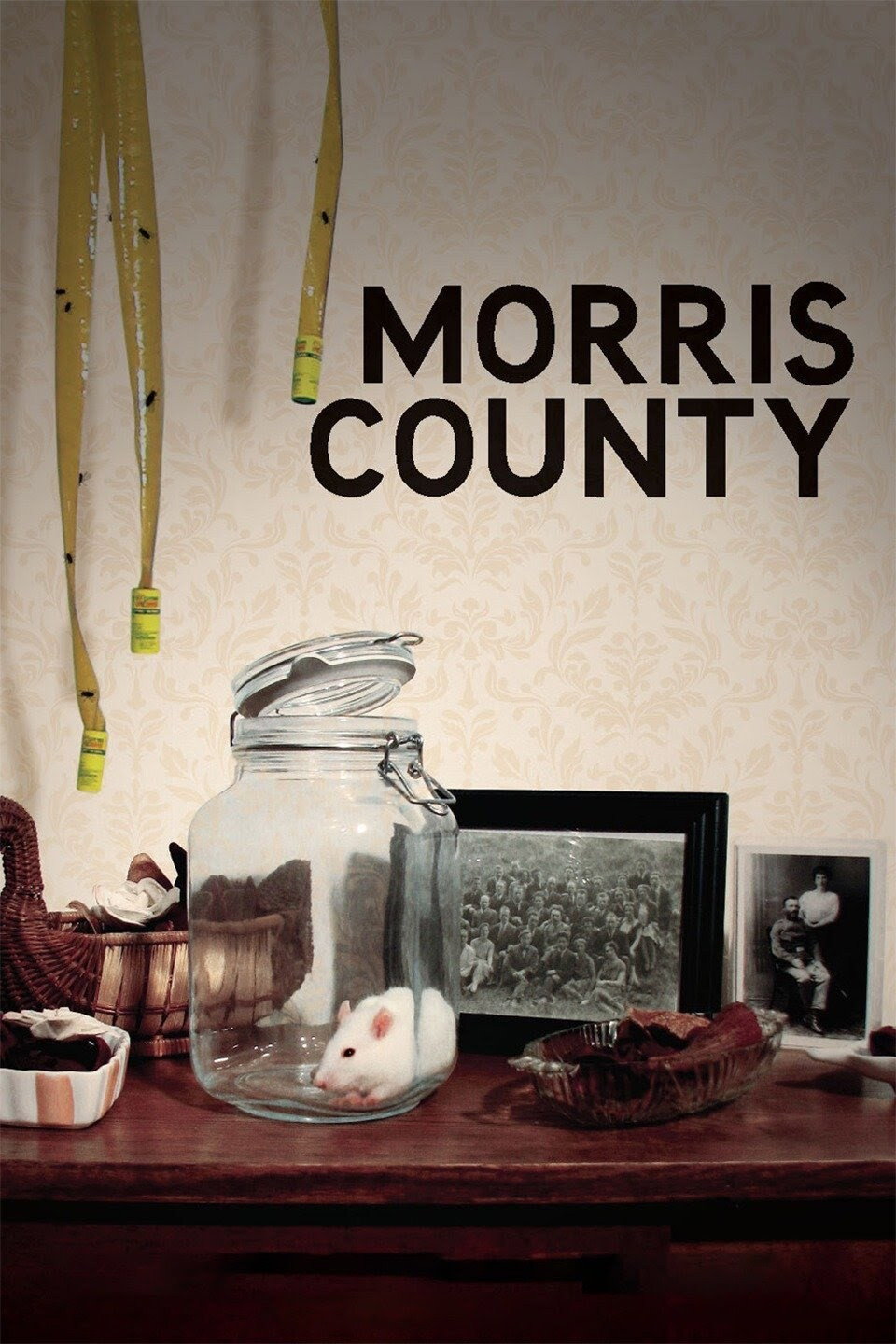 Morris County (2009) poster