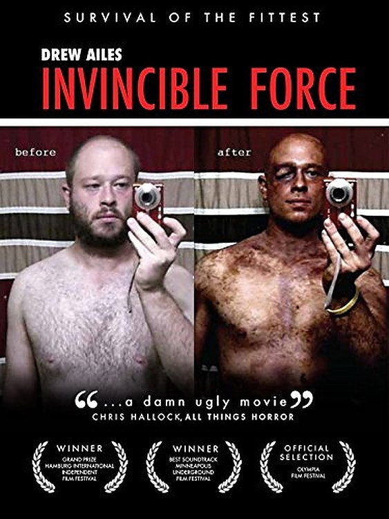 Invincible Force (2011) poster