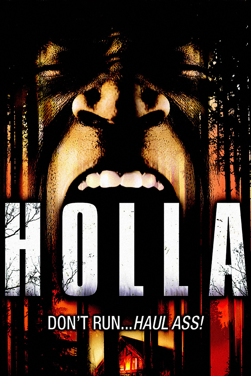 Holla (2006) poster