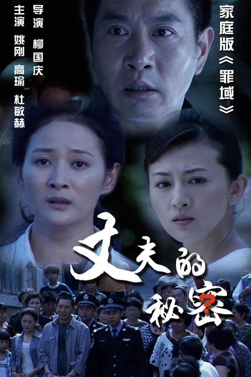 丈夫的秘密 (2012) poster