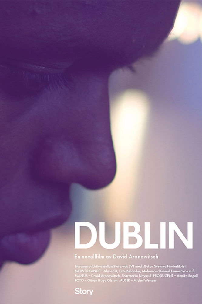Dublin (2012) poster