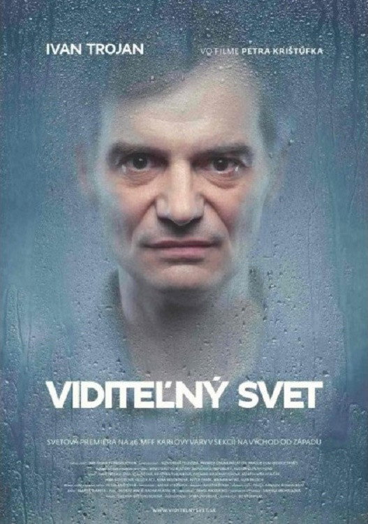 Visible World (2011) poster