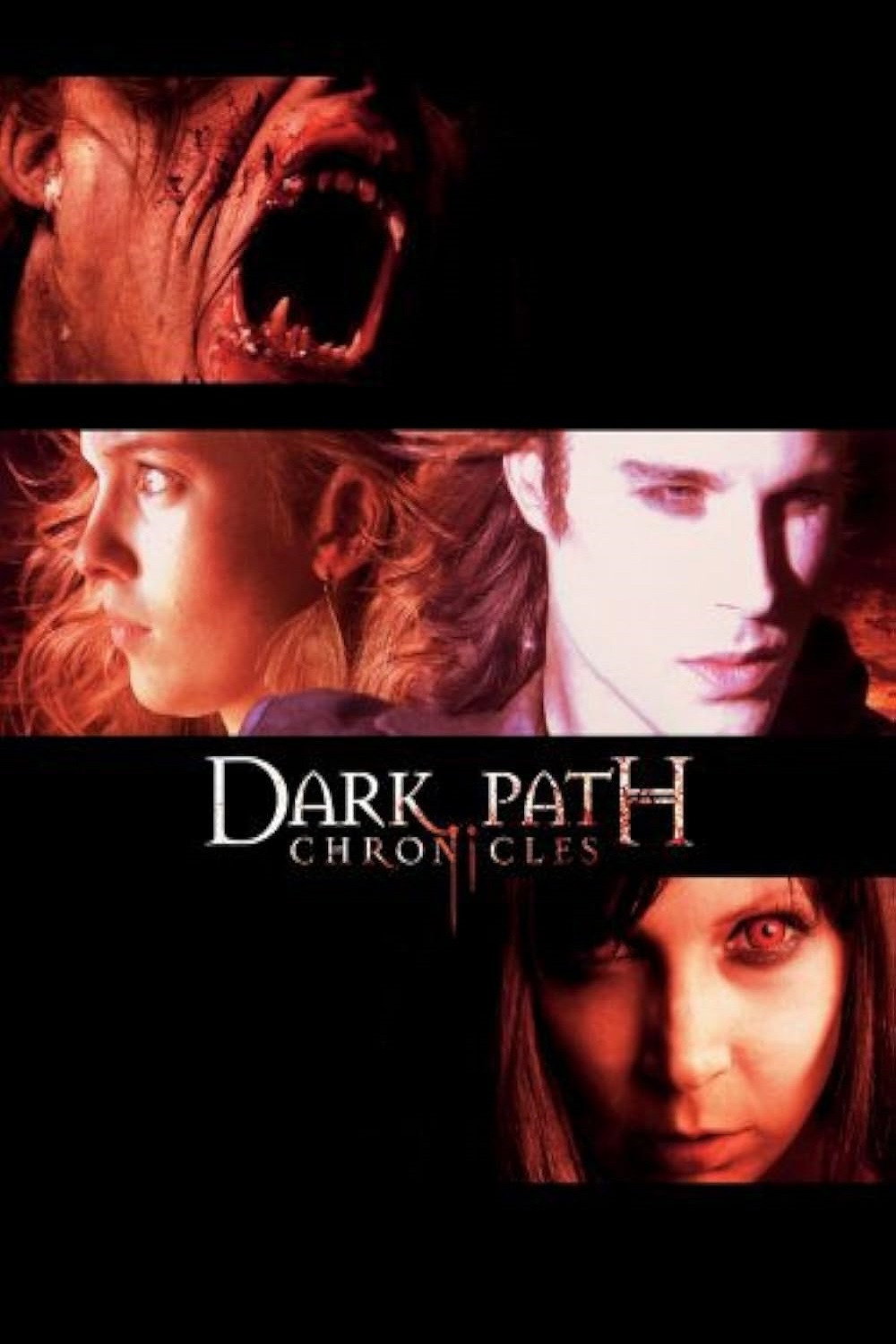 The Dark Path Chronicles (2008) poster